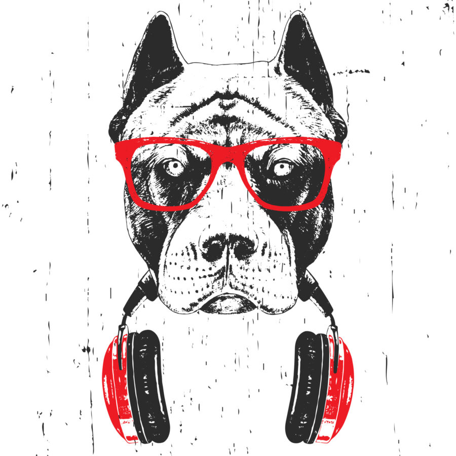 A dog wearing glasses and headphones