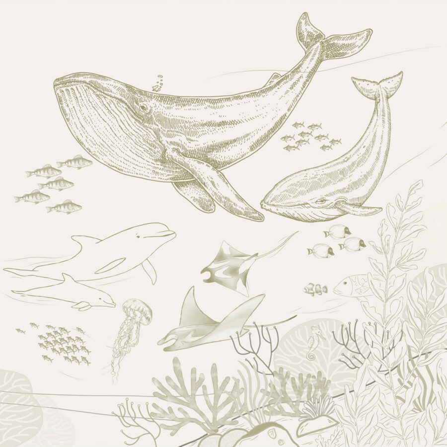 A drawing of a whale and a whale