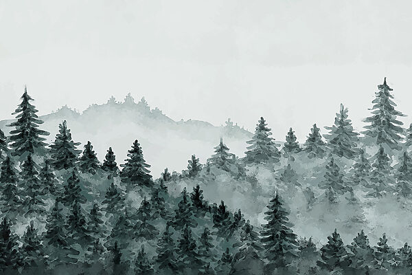 A foggy forest with trees A foggy forest with trees