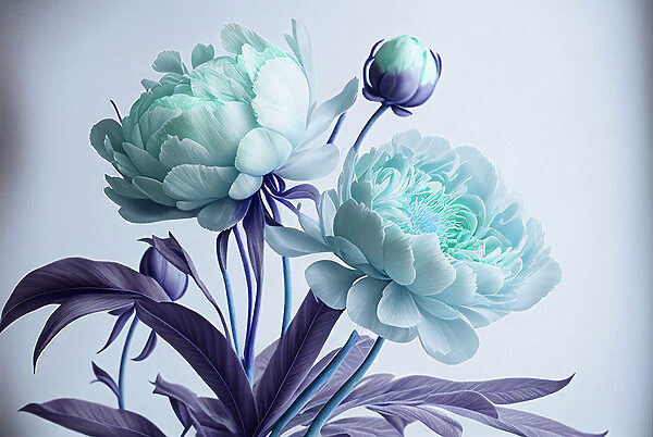 Elegant flowers in soothing colors. Elegant flowers in soothing colors.