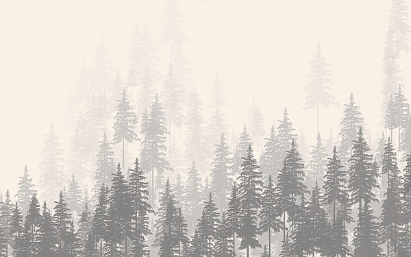 A group of trees in a forest A group of trees in a forest