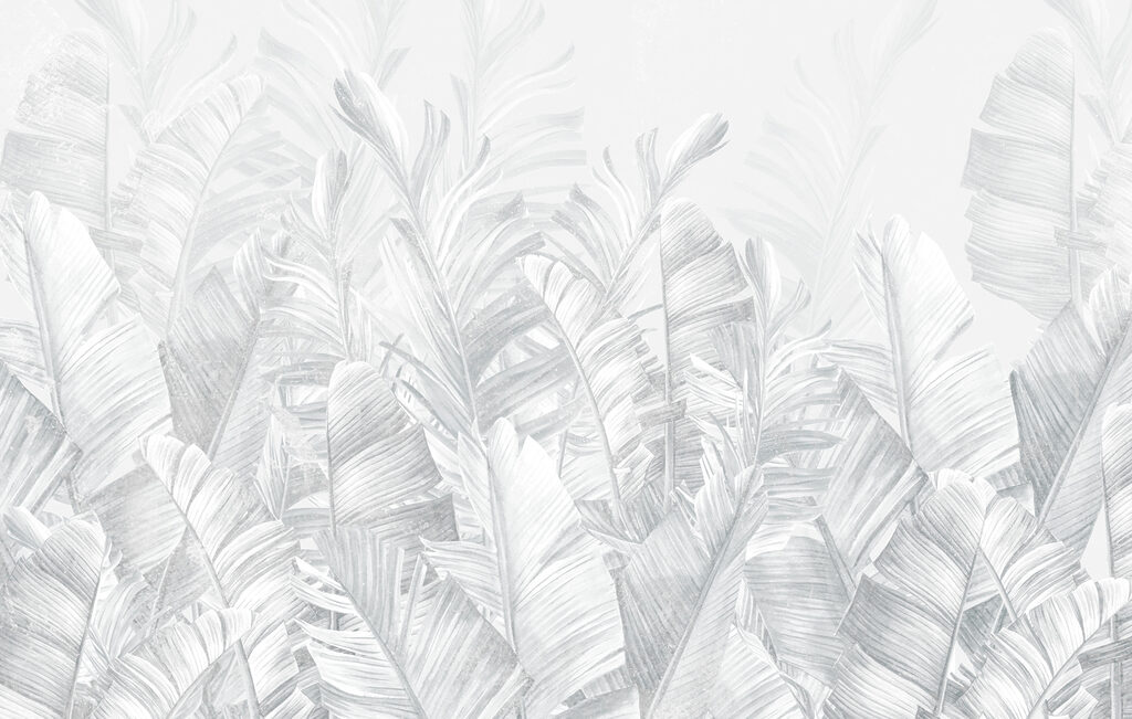 A group of white leaves A group of white leaves