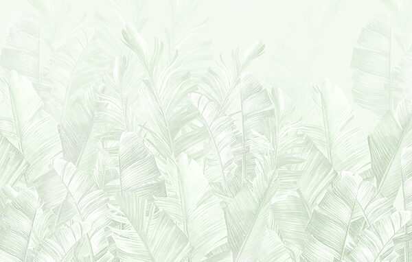 Soft green leaves in gentle layers. Soft green leaves in gentle layers.