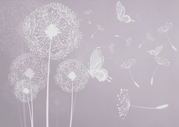 A white dandelions and butterflies A white dandelions and butterflies