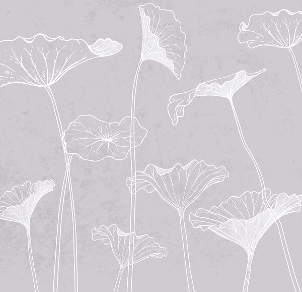 A white flowers on a gray background