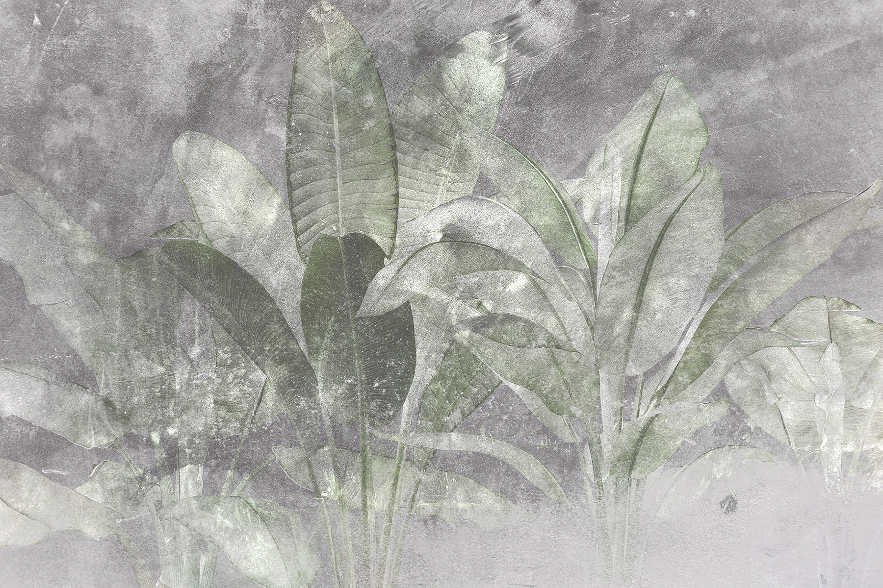 Botanical elegance in soft textures Botanical elegance in soft textures