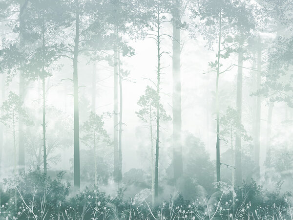 A foggy forest with tall trees A foggy forest with tall trees
