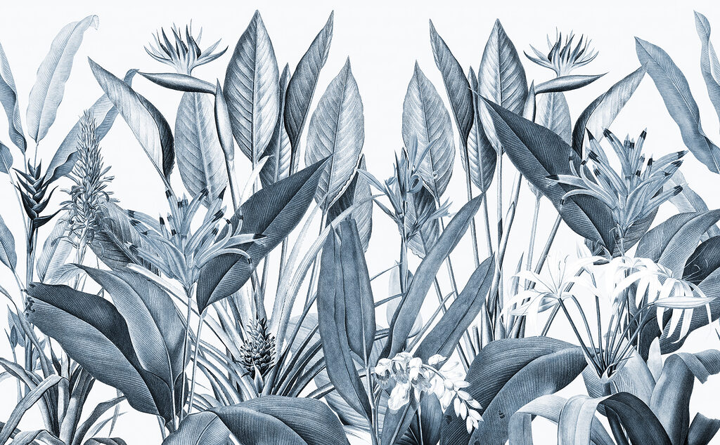 Tropical foliage in monochrome shades. Tropical foliage in monochrome shades.