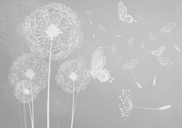 A white dandelions and butterflies A white dandelions and butterflies