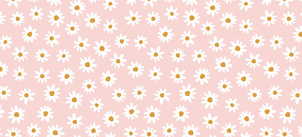 A pattern of white flowers on a pink background A pattern of white flowers on a pink background