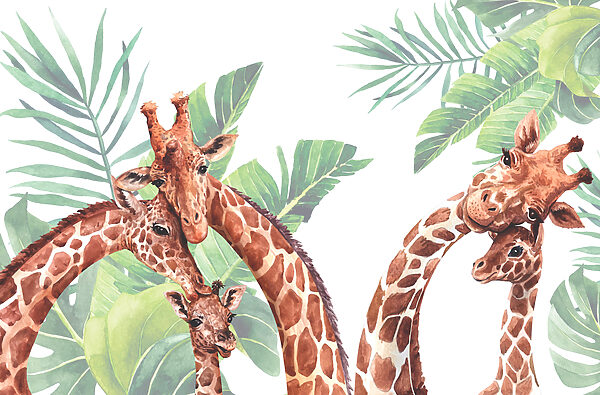 A group of giraffes with their heads in front of leaves A group of giraffes with their heads in front of leaves