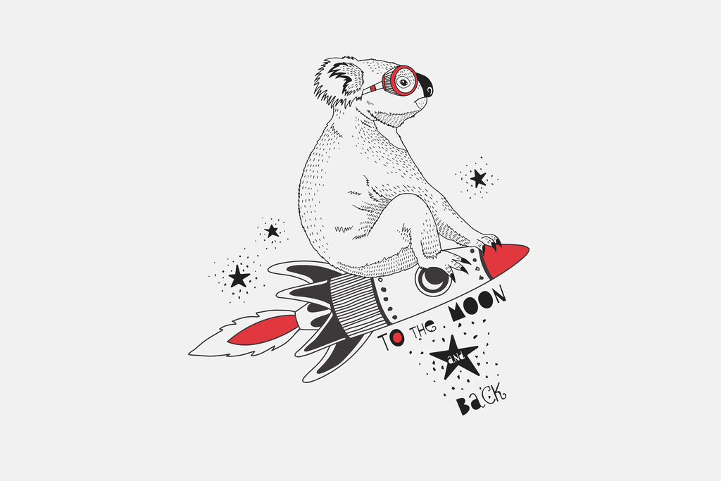 A koala on a rocket A koala on a rocket