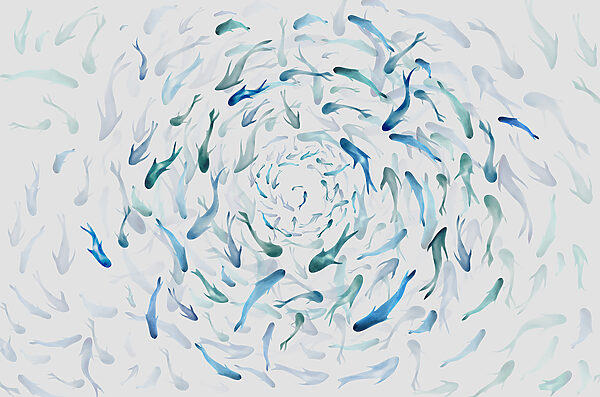 A group of fish swimming in a spiral w00510p 600x397 - A group of fish swimming in a spiral - tegory