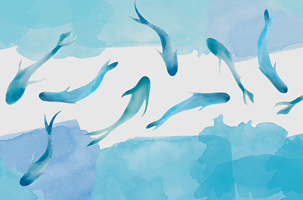 A group of blue fish swimming in water w00513p 600x397 - A group of blue fish swimming in water - tegory