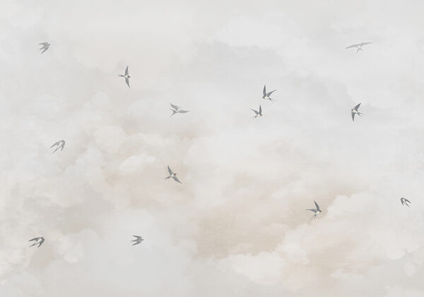 Birds flying birds in the sky w00526v2p 600x420 - Birds flying birds in the sky - tegory