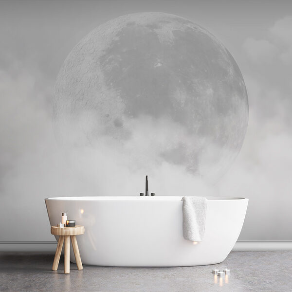 A moon in the clouds w00548v1pit1ms 600x600 - A moon in the clouds - tegory