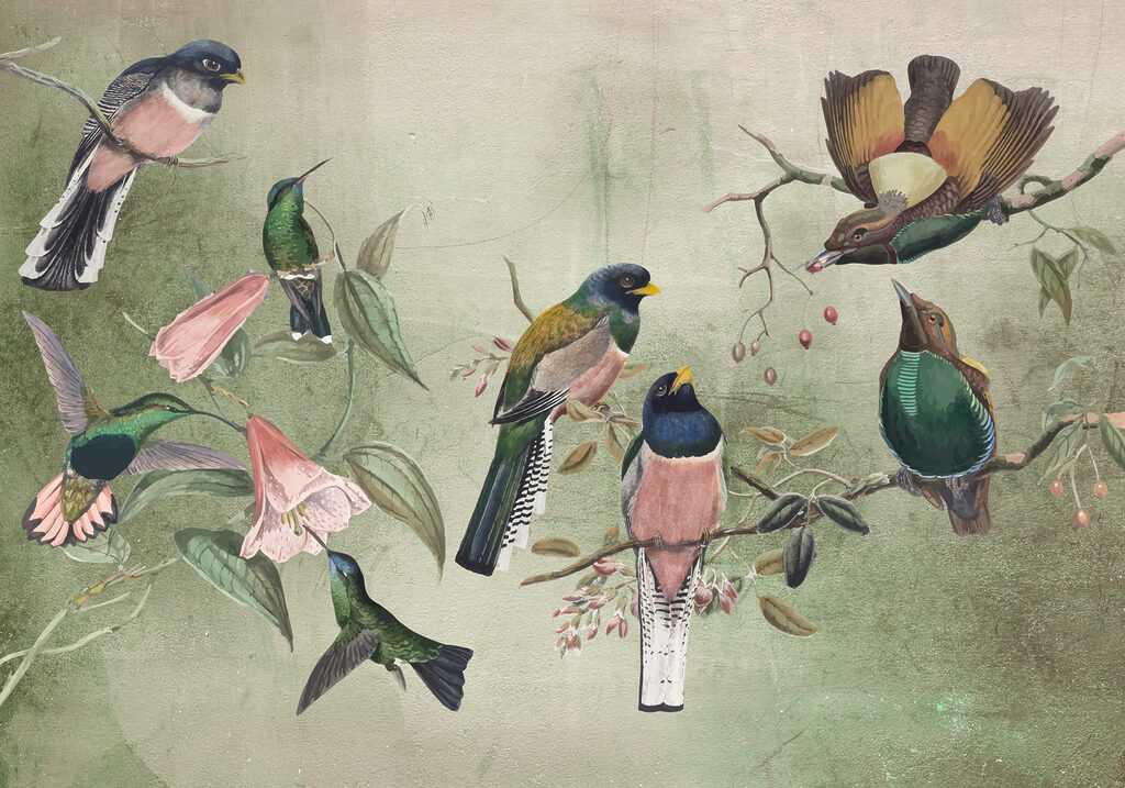 A group of birds on a branch w00543p 1024x717 - A group of birds on a branch - tegory