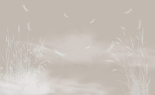 A dragonflies flying in the sky A dragonflies flying in the sky