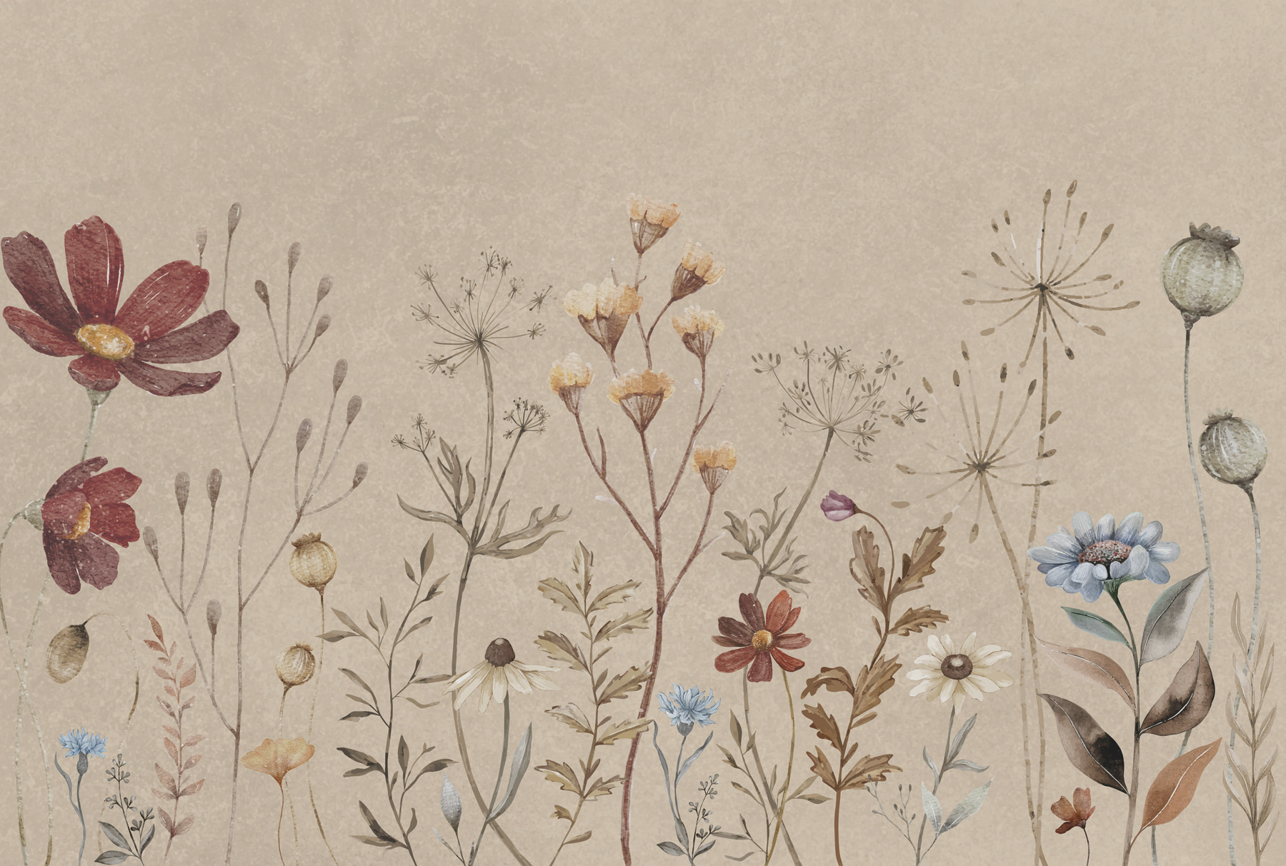 A close up of flowers w00580p - A close up of flowers - tegory