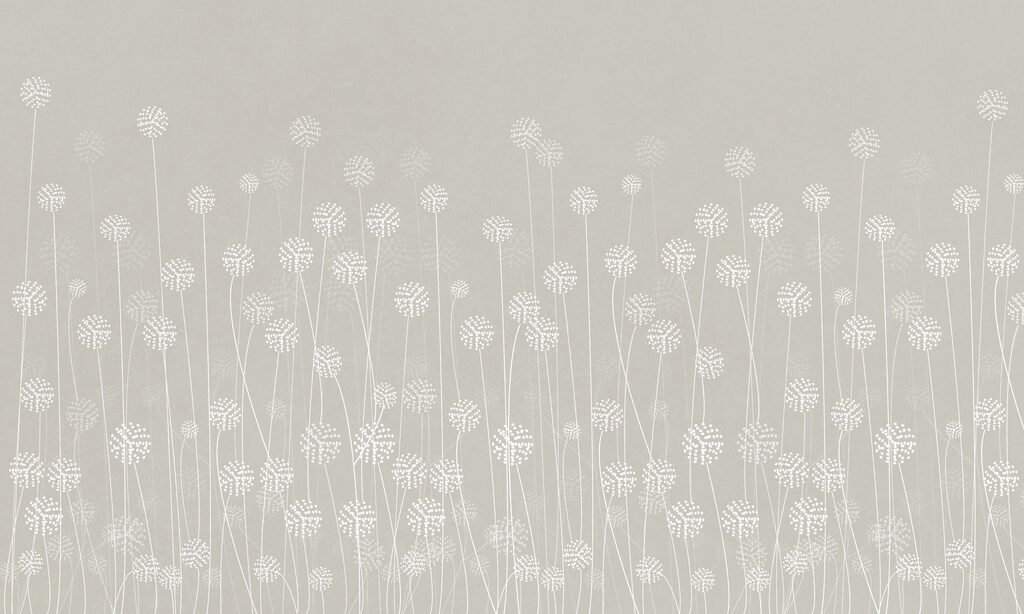 w00613p 1024x614 - A white flowers on a gray background - tegory