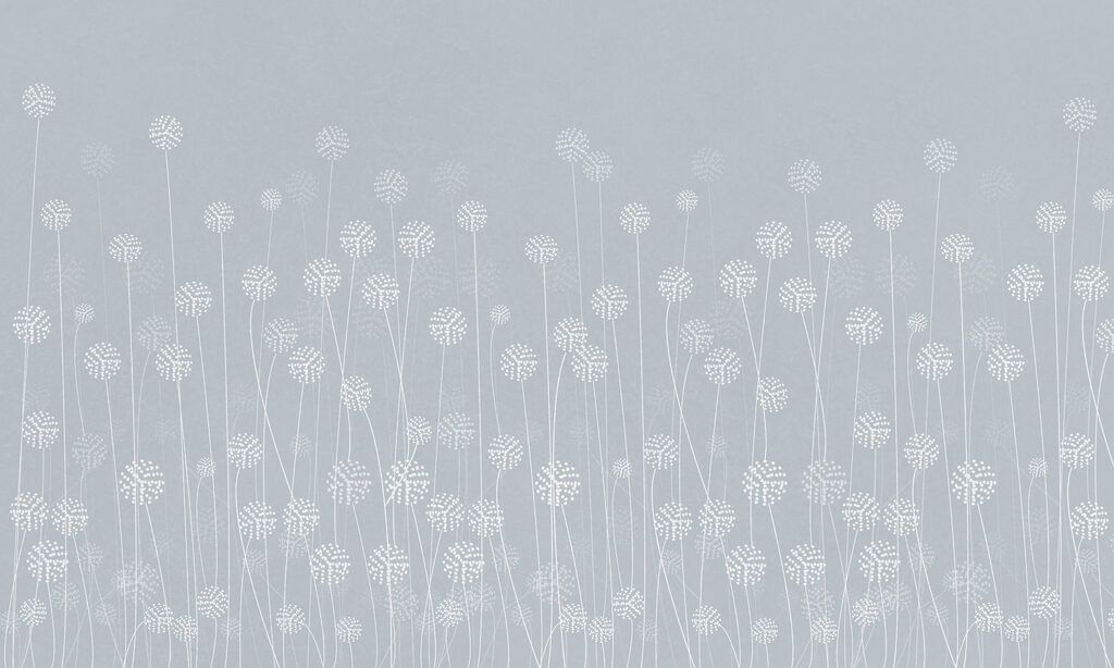 w00613v1p 1024x614 - A white flowers on a gray background - tegory