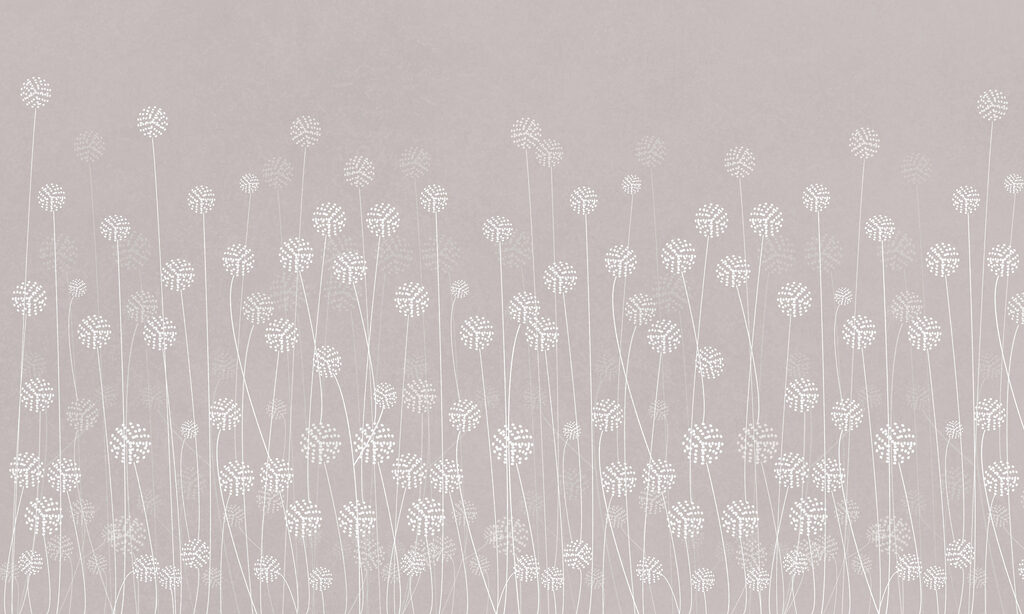 A white flowers on a gray background w00613v2p 1024x614 - A white flowers on a gray background - tegory