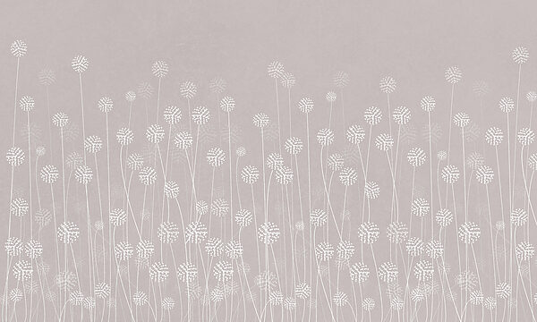 A white flowers on a gray background w00613v2p 600x360 - A white flowers on a gray background - tegory