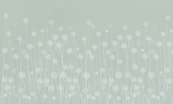 A white flowers on a green background w00613v3p 600x360 - A white flowers on a green background - tegory