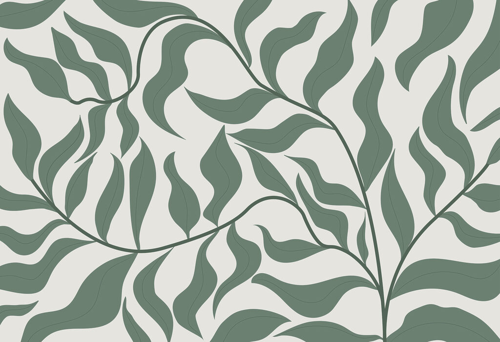 A green leaves on a white background w00629p 1024x701 - A green leaves on a white background - tegory