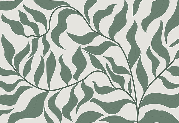A green leaves on a white background w00629p 600x411 - A green leaves on a white background - tegory