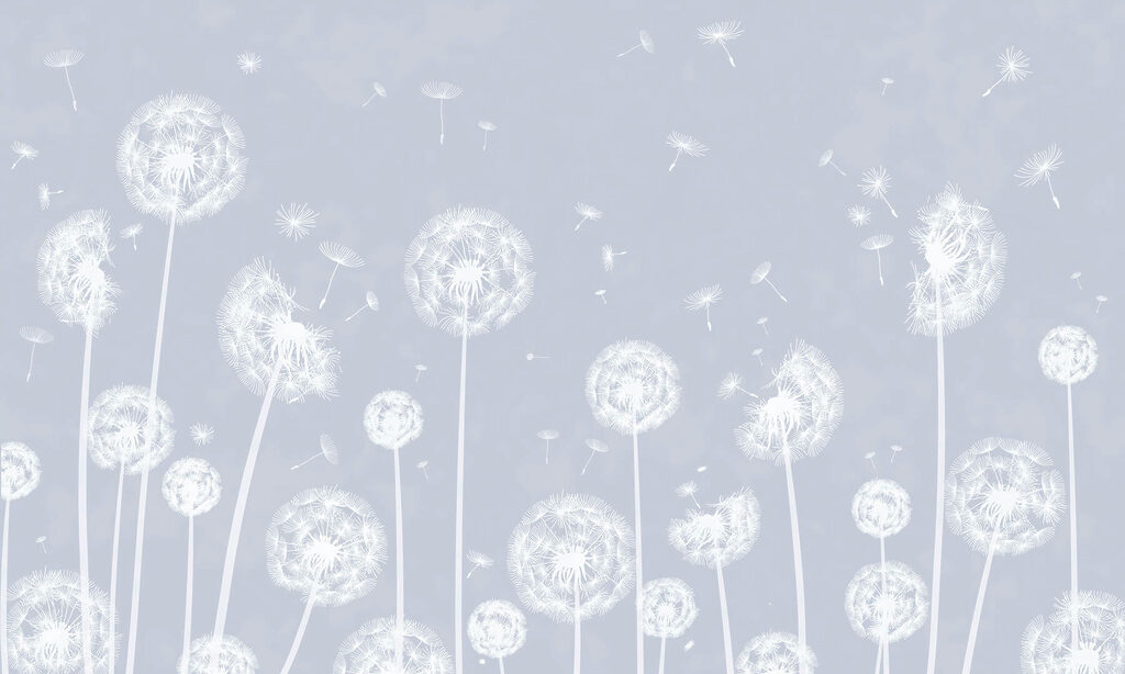 A white dandelions flying in the air w00657v2p 1024x614 - A white dandelions flying in the air - tegory