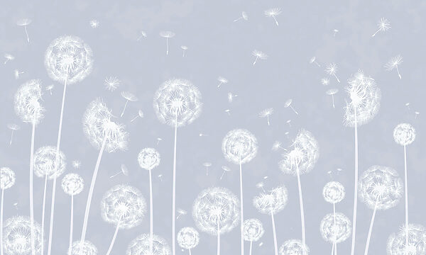 A white dandelions flying in the air w00657v2p 600x360 - A white dandelions flying in the air - tegory