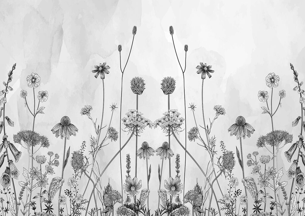 A drawing of flowers and plants A drawing of flowers and plants