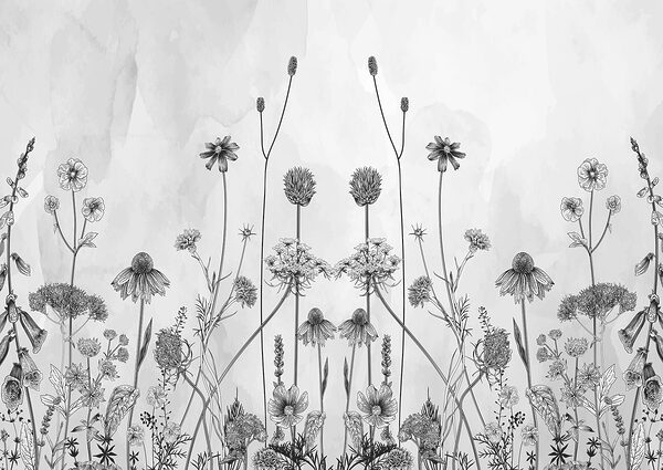 A drawing of flowers and plants A drawing of flowers and plants