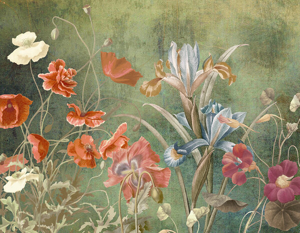 A close up of flowers w00698p 600x467 - A close up of flowers - tegory