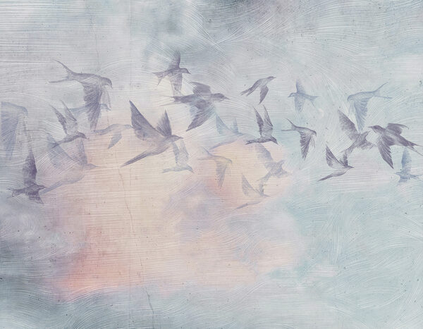A flock of birds flying in the sky A flock of birds flying in the sky