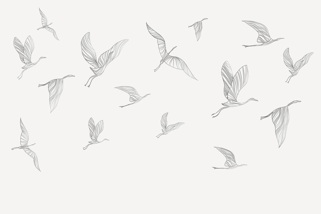 A group of birds flying A group of birds flying