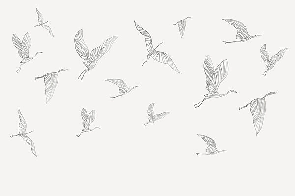 A group of birds flying A group of birds flying