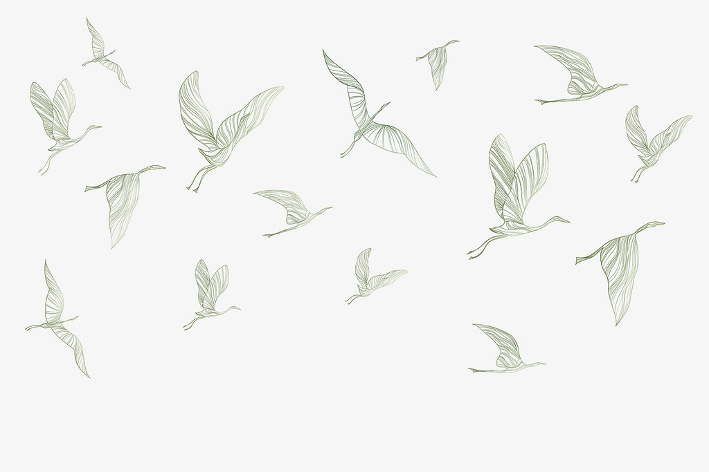 A group of birds flying A group of birds flying