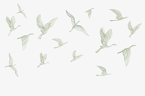 A group of birds flying A group of birds flying