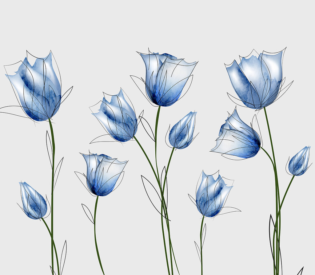 A group of blue flowers A group of blue flowers