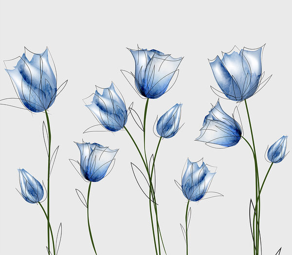 A group of blue flowers A group of blue flowers