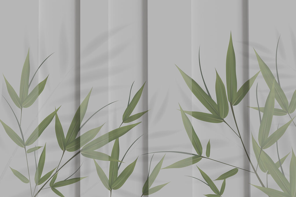 A green leaves on a white surface A green leaves on a white surface