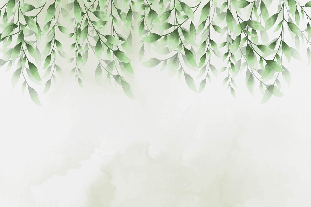 A green leaves on a white background A green leaves on a white background