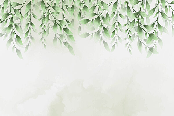 A green leaves on a white background A green leaves on a white background