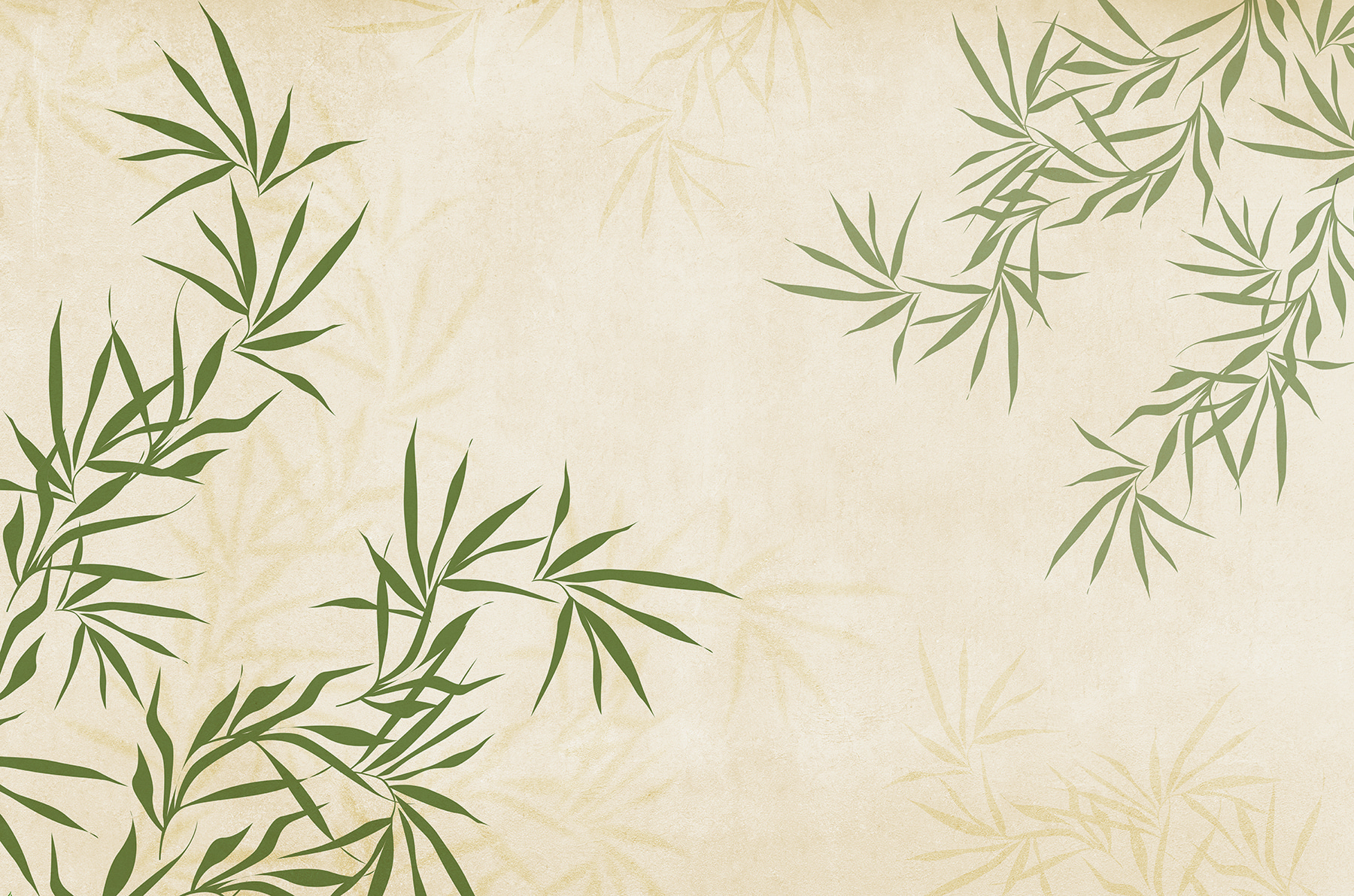 A green leaves on a white background A green leaves on a white background