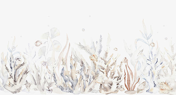 A watercolor of seaweed and shells A watercolor of seaweed and shells