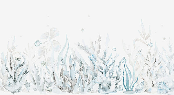 A watercolor of seaweed and shells A watercolor of seaweed and shells