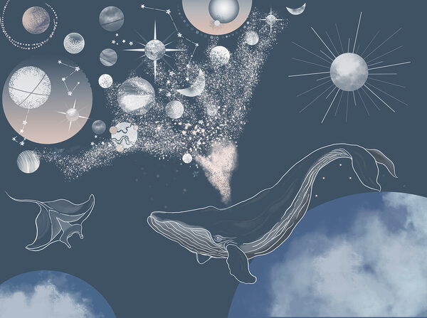 A whale and planets in the sky A whale and planets in the sky