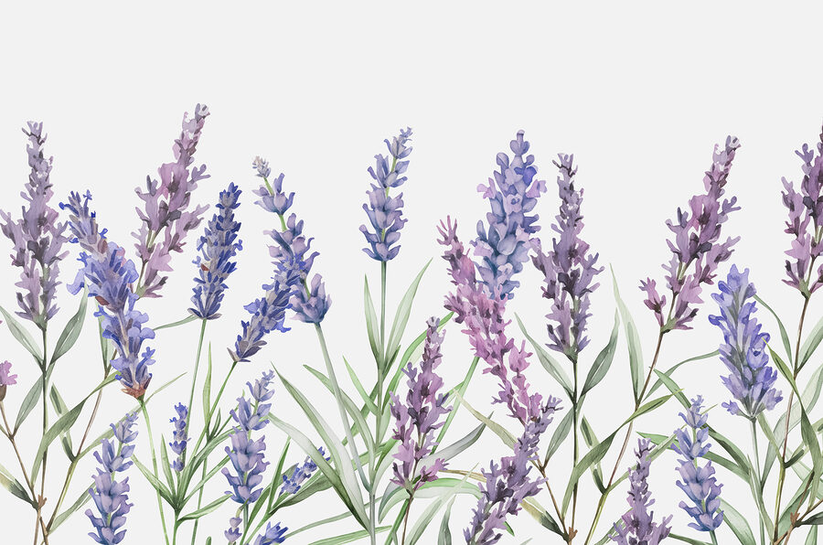 A row of purple flowers
